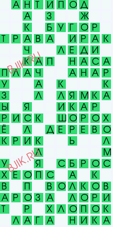 сканворд 28048
