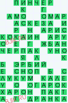 сканворд 28776