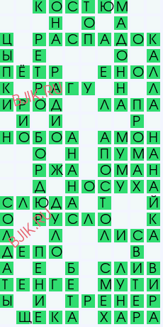 сканворд 29342