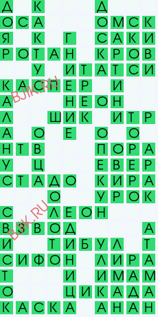 сканворд 29353