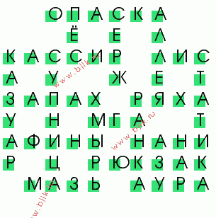 сканворд 17