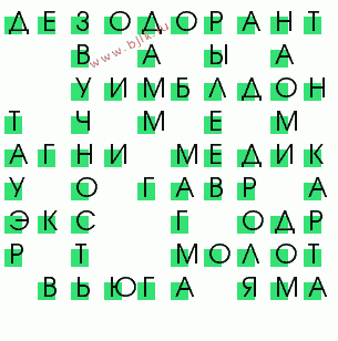 сканворд 19