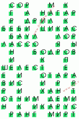 сканворд 212