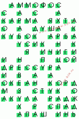 сканворд 218