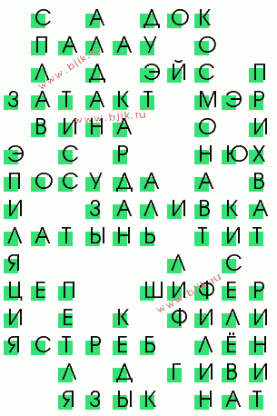 сканворд 223