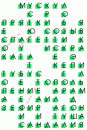 сканворд 234