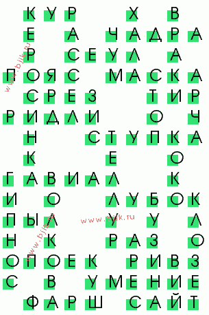 сканворд 238
