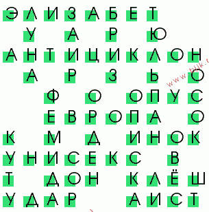 сканворд 24