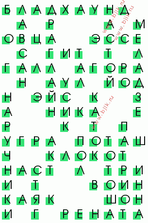 сканворд 244