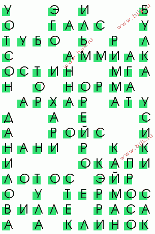 сканворд 245