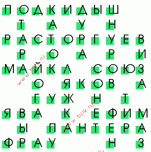 сканворд 25