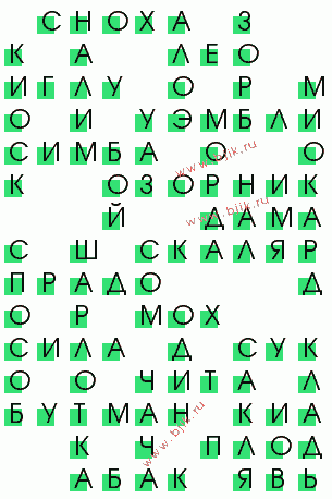 сканворд 259