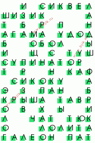 сканворд 286