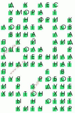 сканворд 304