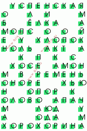 сканворд 338