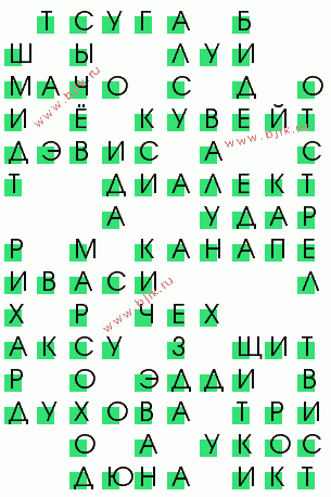 сканворд 343