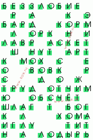 сканворд 361