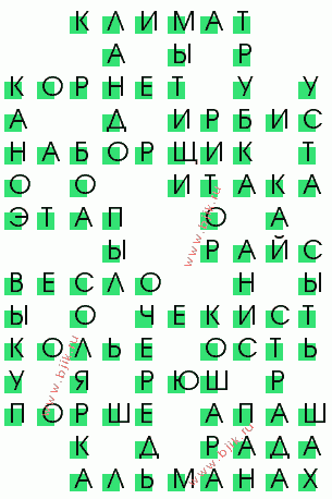 сканворд 378