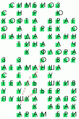 сканворд 381