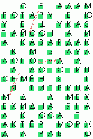 сканворд 386
