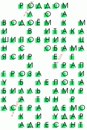 сканворд 415