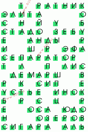 сканворд 423