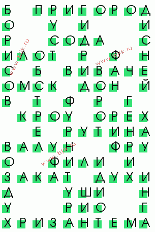 сканворд 426