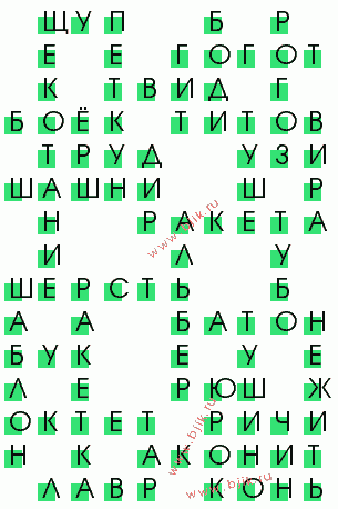 сканворд 427