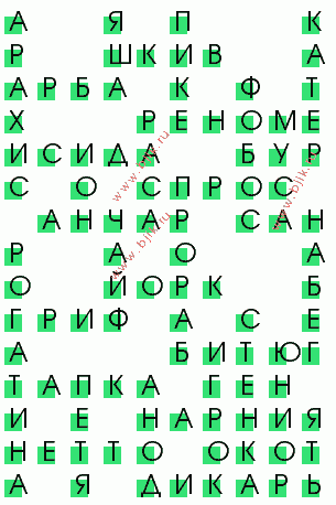 сканворд 429