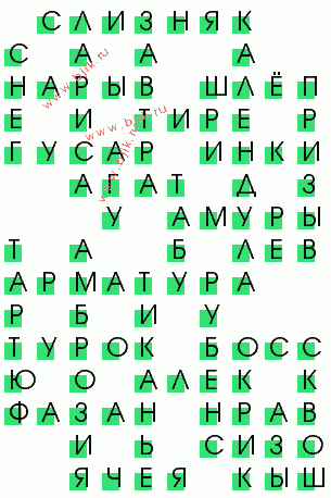 сканворд 464