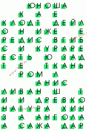 сканворд 476