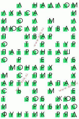 сканворд 479