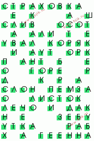 сканворд 491
