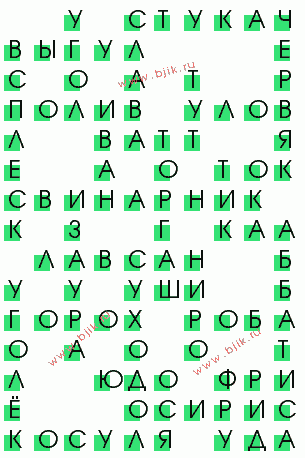 сканворд 494