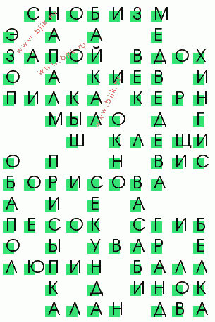 сканворд 496