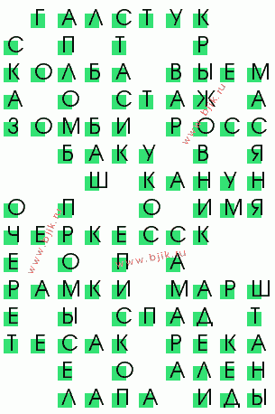 сканворд 504