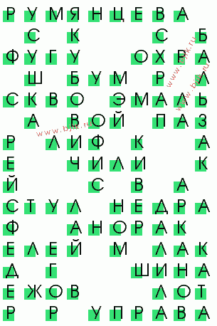 сканворд 507