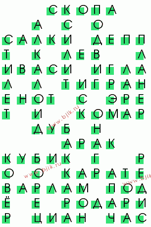 сканворд 509