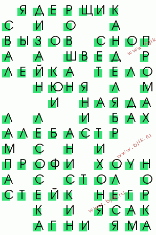 сканворд 527