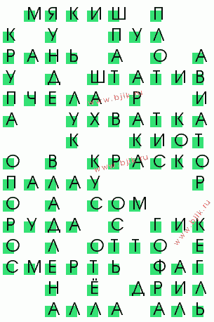 сканворд 529