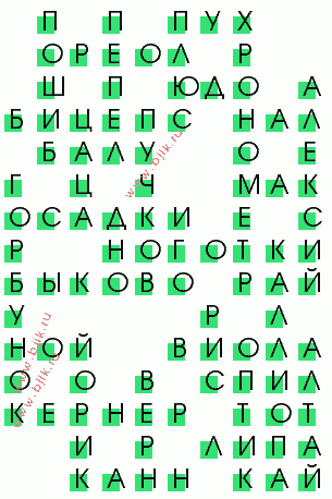 сканворд 532