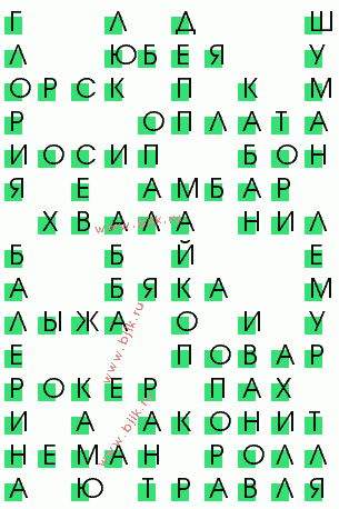 сканворд 543
