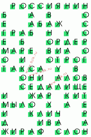 сканворд 556
