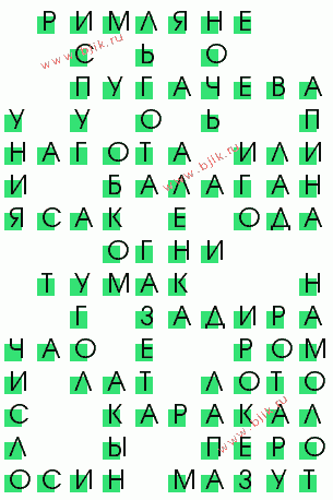 сканворд 560