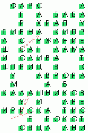 сканворд 571