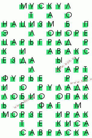сканворд 585