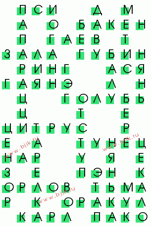 сканворд 589