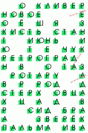 сканворд 593