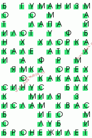 сканворд 596
