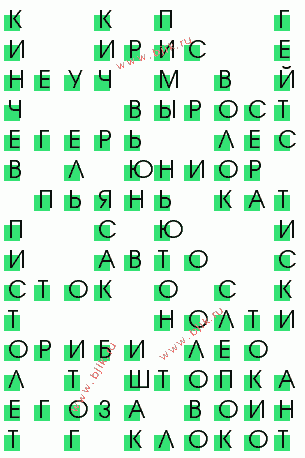 сканворд 621